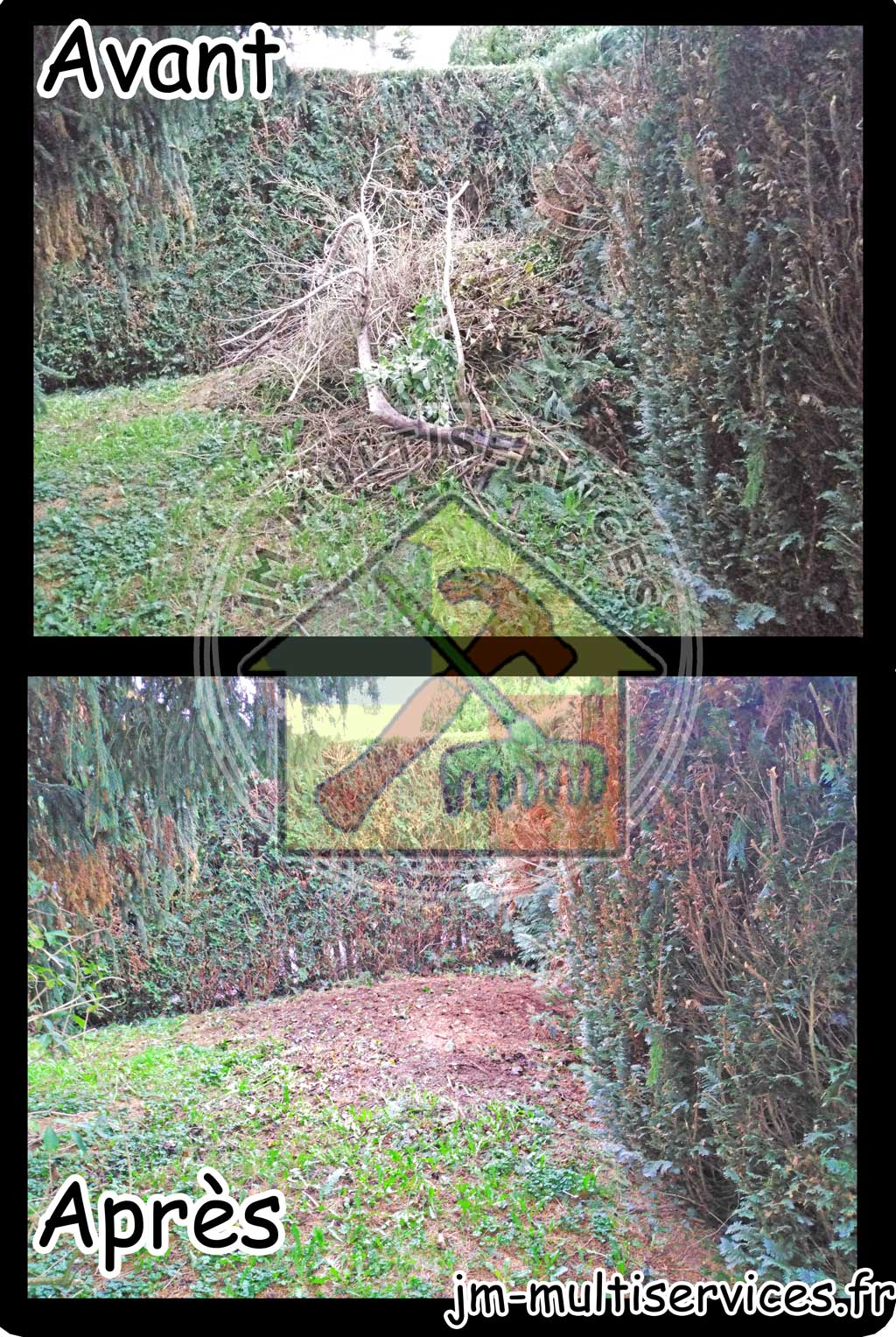 Débarras de déchets verts
