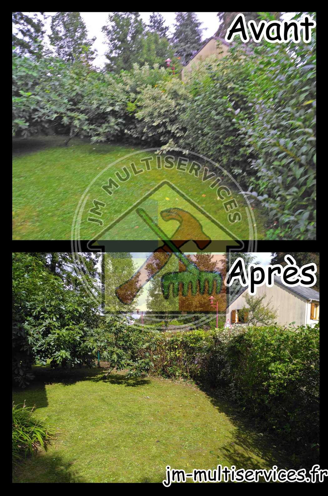 Entretien de haies