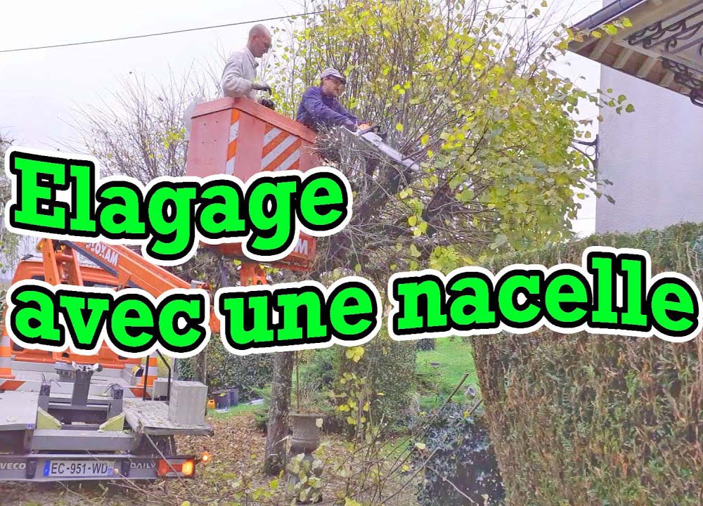Elagage d