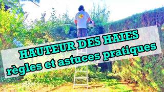 Quelle Hauteur pour vos Haies et Arbustes